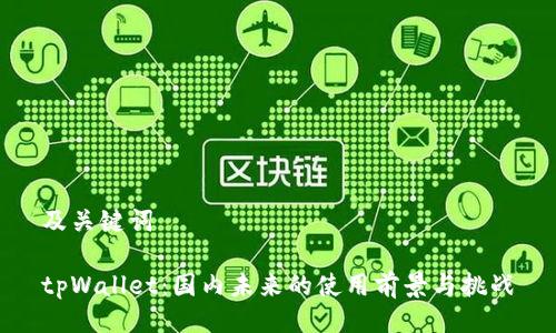 及关键词
tpWallet:国内未来的使用前景与挑战