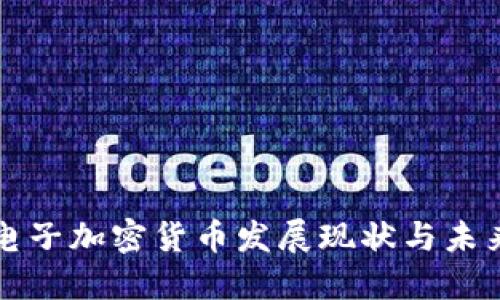 中国电子加密货币发展现状与未来趋势