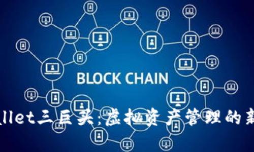 tpWallet三巨头:虚拟资产管理的新纪元