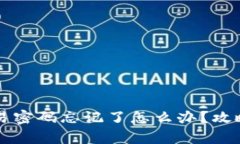 tpWallet交易密码忘记了怎么办?攻略与解决方案