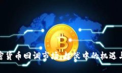 : 加密货币回调市场:起伏中的机遇与挑战