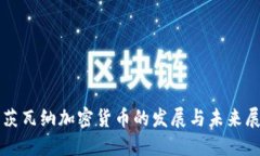 博茨瓦纳加密货币的发展与未来展望