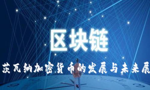 博茨瓦纳加密货币的发展与未来展望
