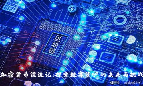 加密货币漂流记:探索数字资产的未来与挑战