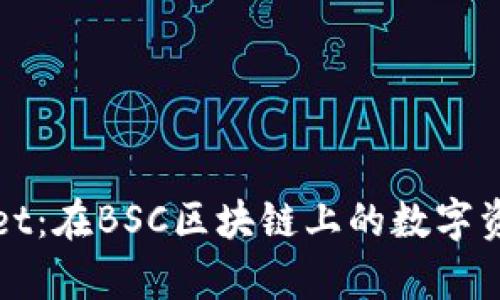 探索tpWallet:在BSC区块链上的数字资产管理工具