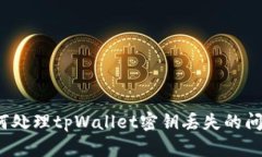 如何处理tpWallet密钥丢失的问题?