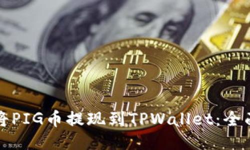 如何将PIG币提现到TPWallet:全面指南