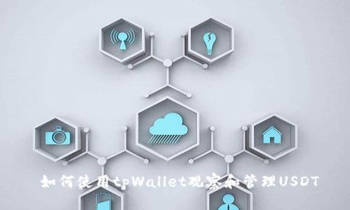如何使用tpWallet观察和管理USDT
