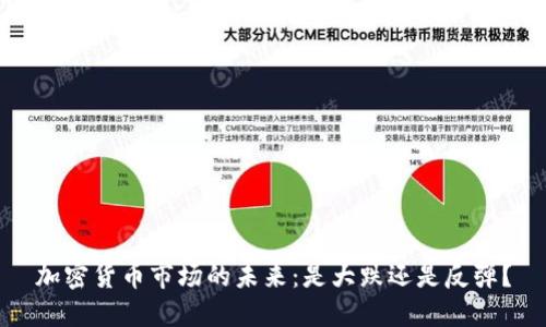 加密货币市场的未来:是大跌还是反弹?