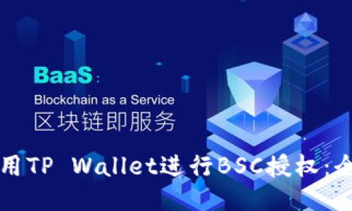 如何使用TP Wallet进行BSC授权:全面指南