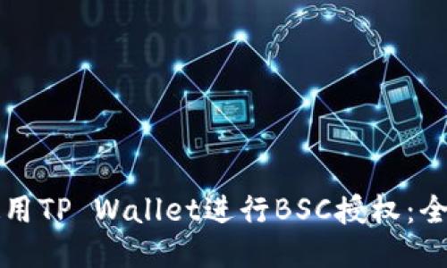 如何使用TP Wallet进行BSC授权:全面指南