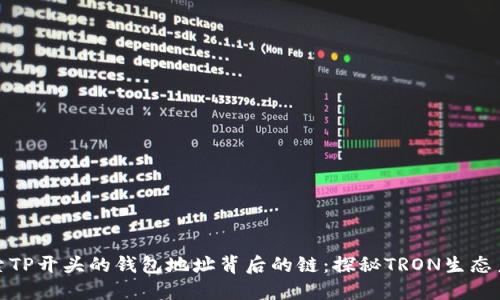 探索TP开头的钱包地址背后的链:探秘TRON生态系统