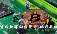 非官方数字加密货币:挑战与机遇