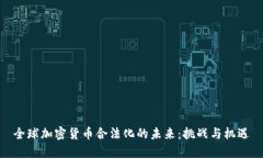 全球加密货币合法化的未来:挑战与机遇