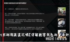 tpWallet里的钱是美元吗?详解数字钱包的货币种类