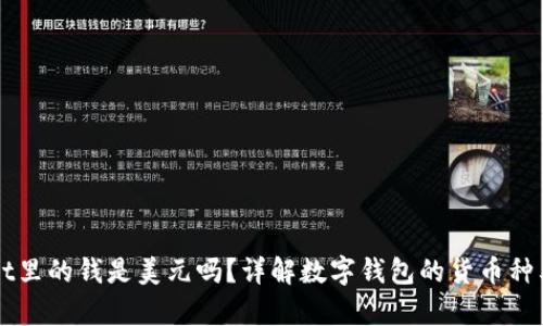 tpWallet里的钱是美元吗?详解数字钱包的货币种类与使用