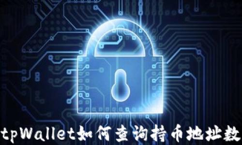 tpWallet如何查询持币地址数