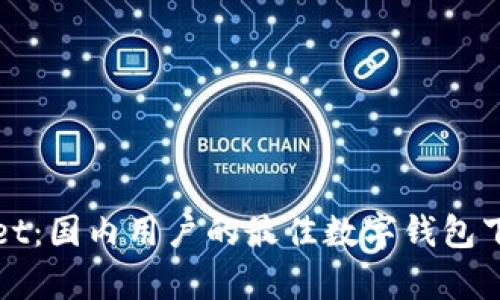 tpWallet:国内用户的最佳数字钱包下载指南