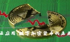 探索祥云应用:数字加密货币的未来与趋势