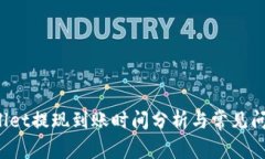 tpWallet提现到账时间分析与常见问题解答