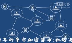 2022年的牛市加密货币:机遇与挑战