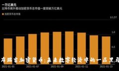 布瑞吉加密货币:未来数字经济中的一匹黑马