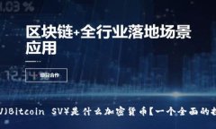 BSV(Bitcoin SV)是什么加密货币?一个全面的探讨