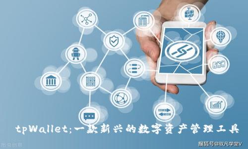 tpWallet:一款新兴的数字资产管理工具