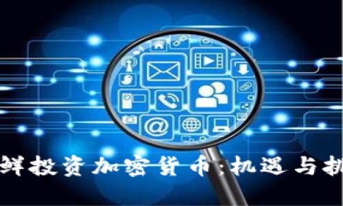 朝鲜投资加密货币:机遇与挑战