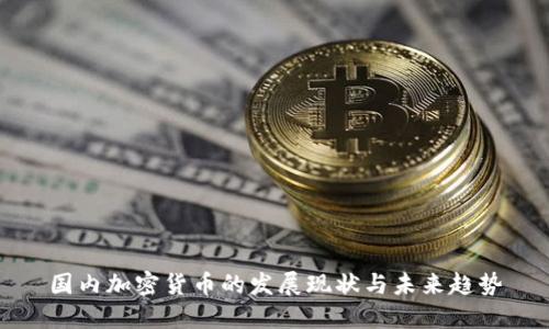 国内加密货币的发展现状与未来趋势