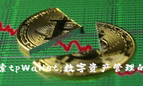 深入探索tpWallet:数字资产管理的新选择