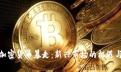 微博加密货币暴走:新兴市场的机遇与挑战