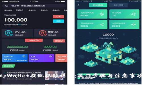 tpWallet提现视频详解:操作步骤与注意事项