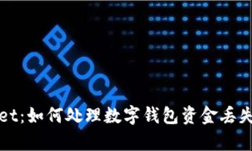 tpWallet:如何处理数字钱包资金丢失的问题