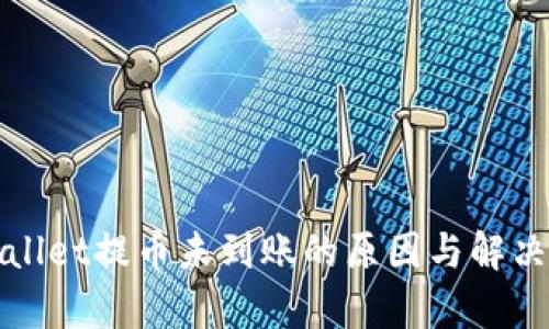 tpWallet提币未到账的原因与解决方案