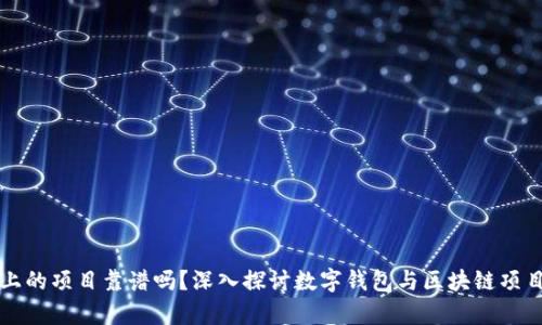 tpWallet上的项目靠谱吗?深入探讨数字钱包与区块链项目的安全性