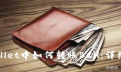 tpWallet中如何转账BCH:详细指南