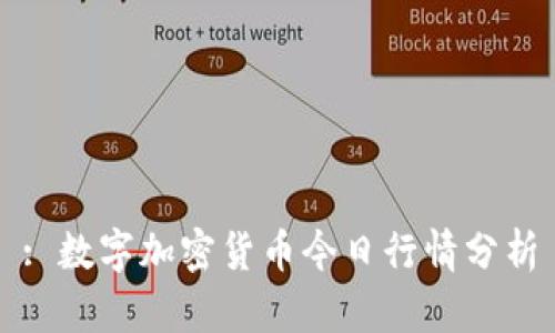 : 数字加密货币今日行情分析
