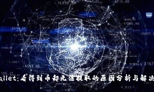 tpWallet:看得到币却无法提取的原因分析与解决方案