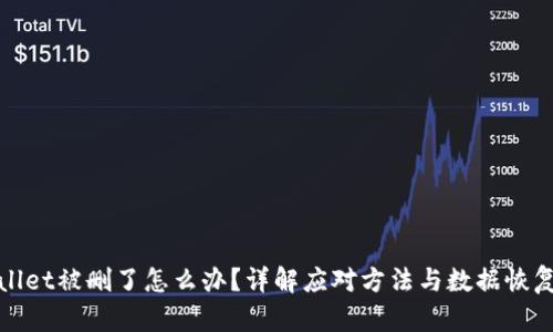 tpWallet被删了怎么办?详解应对方法与数据恢复技巧