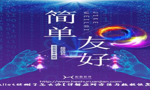 tpWallet被删了怎么办?详解应对方法与数据恢复技巧