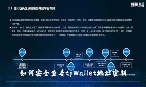 如何安全查看tpWallet地址密钥