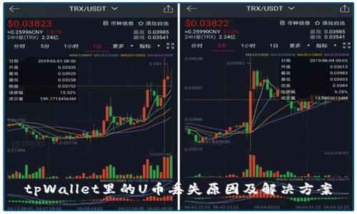 tpWallet里的U币丢失原因及解决方案