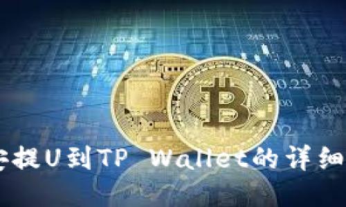 币安提U到TP Wallet的详细指南