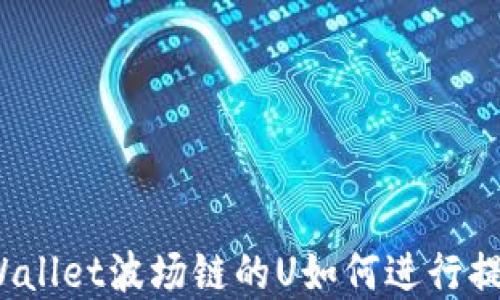 tpWallet波场链的U如何进行提现?