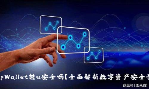 tpWallet转u安全吗?全面解析数字资产安全性