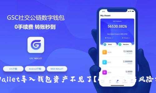 tpWallet导入钱包资产不见了?解决方法与风险分析