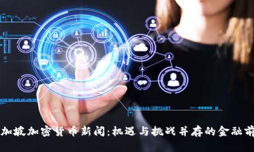 新加坡加密货币新闻:机遇与挑战并存的金融前沿