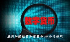 在新加坡投资加密货币：机会与挑战