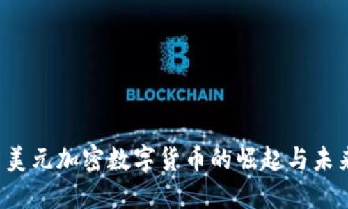 美元加密数字货币的崛起与未来